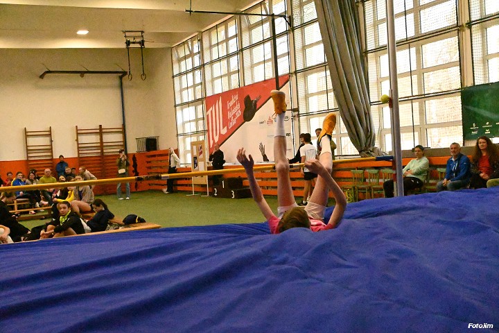 img00205.jpg